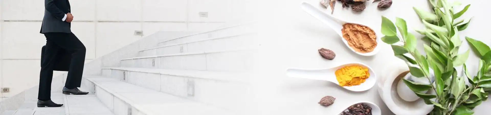 Career with united pharma